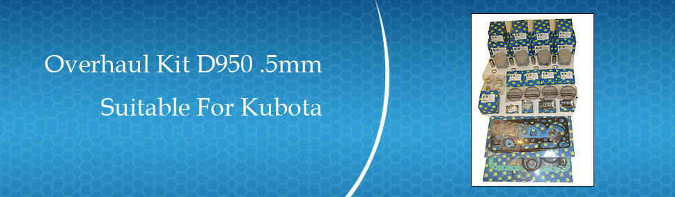 New Kubota D950 Rings .5